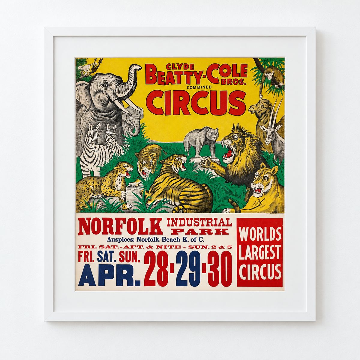 Clyde Beatty Cole Bros. Circus - Norfolk Animal Menagerie Poster